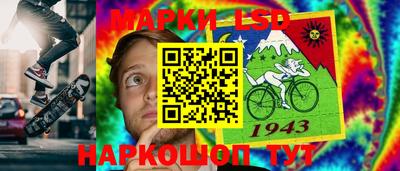амф Заволжье