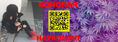 спиды Заводоуковск