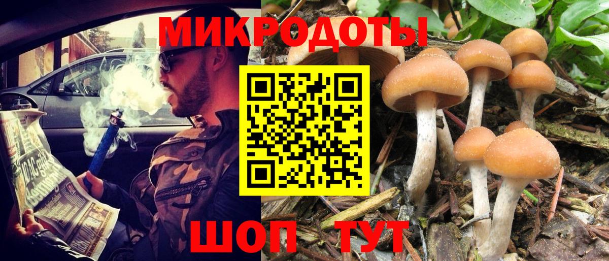 Галлюциногенные грибы Psilocybine cubensis Елизово