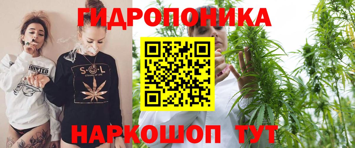 Бошки марихуана сатива  Канабис марихуана  Бошки Шишки SATIVA & INDICA  Елизово  Бошки марихуана AK-47  Вход с VPN 